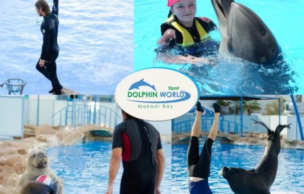 Hurghada Dolphin Show Tour - Image 4