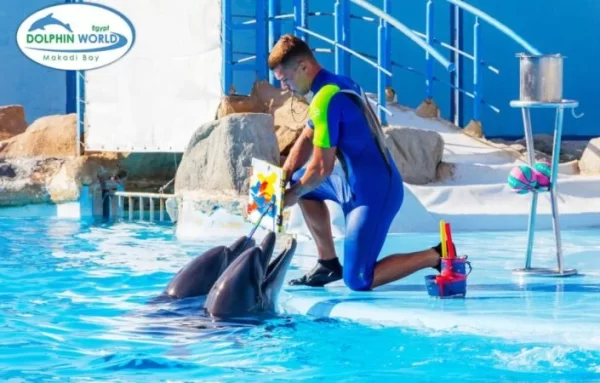 Hurghada Dolphin Show Tour - Image 3